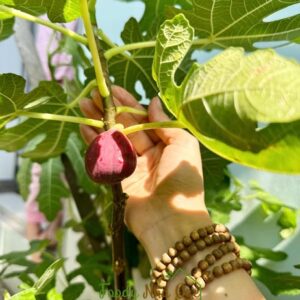 cach-tang-tinh-trung-y